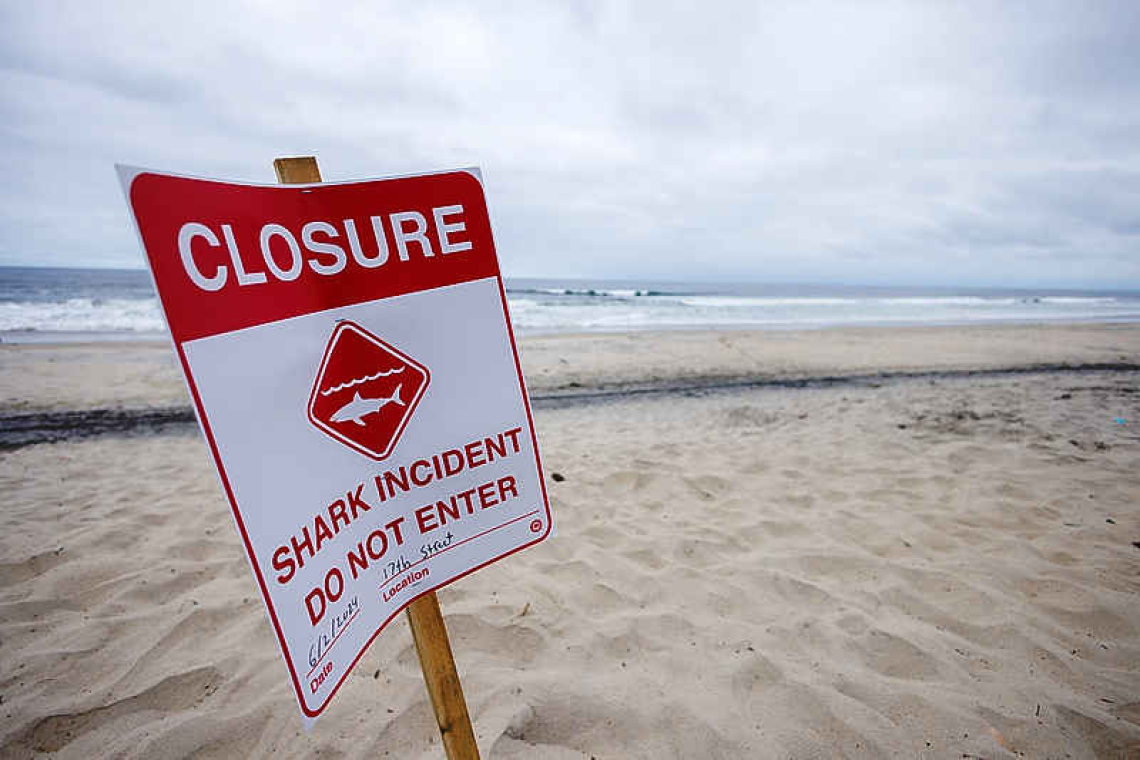 Shark experts investigate attack near San Diego